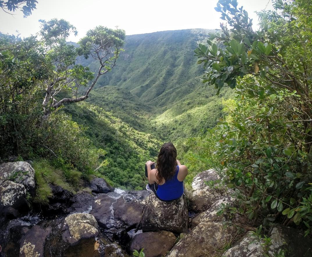 Black River Gorges Hiking