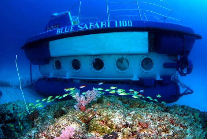 Blue Safari : sous-marin et Subscooter — photo 3