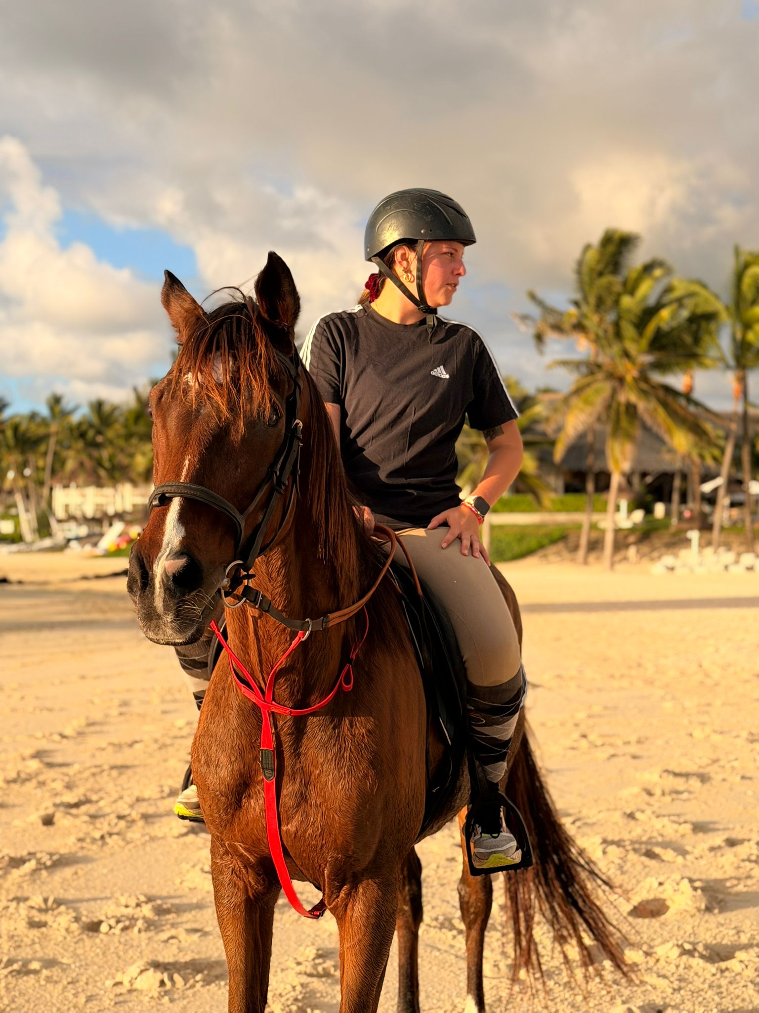 Balade à cheval sur la plage — photo 4