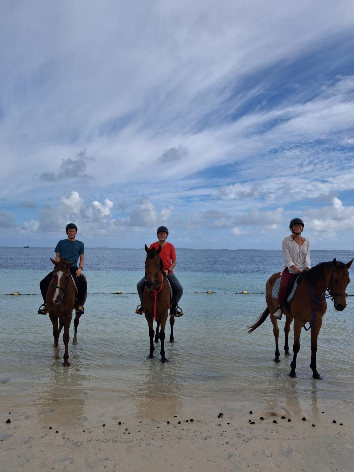 Balade à cheval sur la plage — photo 5