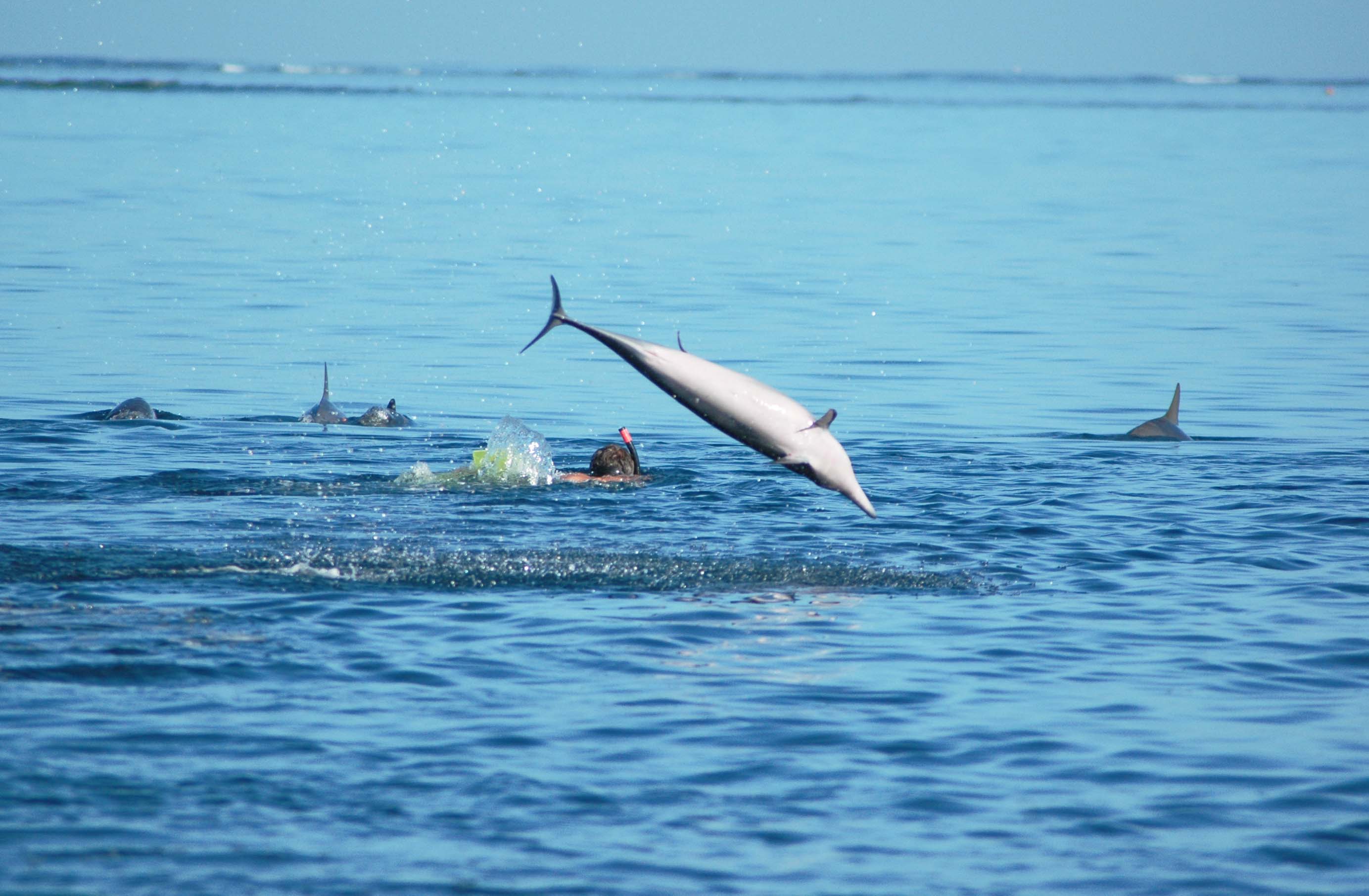 Croisière privée en catamaran d’une journée complète – Côte Ouest — photo 2