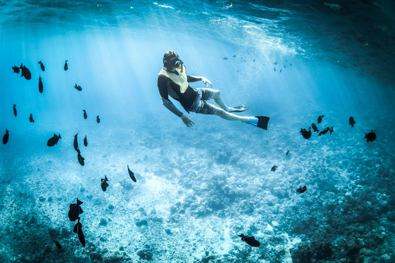 Diving with bottle – Scuba Dive