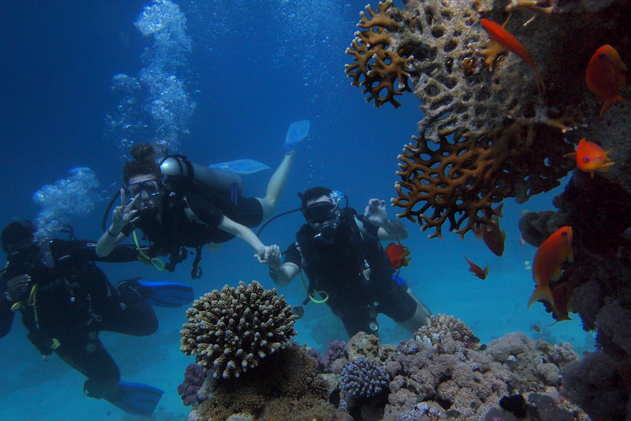 Diving with bottle – Scuba Dive