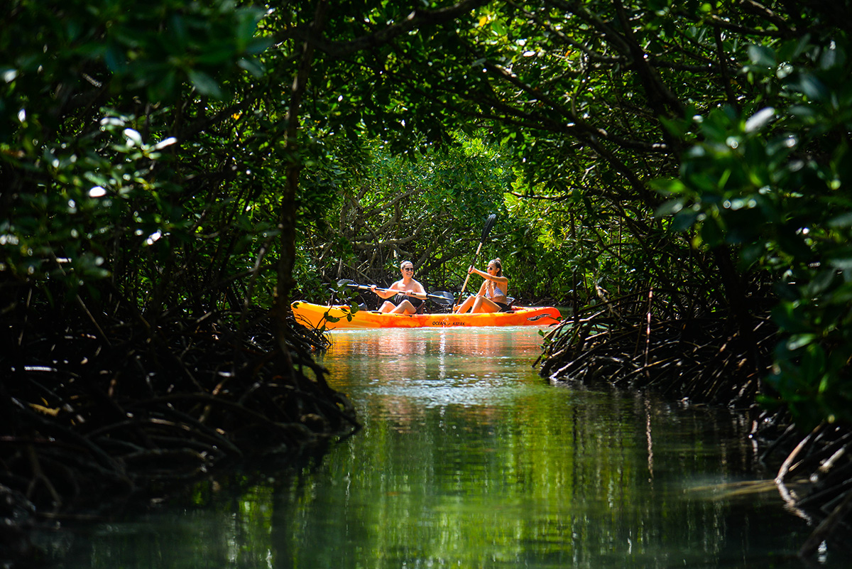 Visite de l’Île d’Ambre en kayak — photo 4