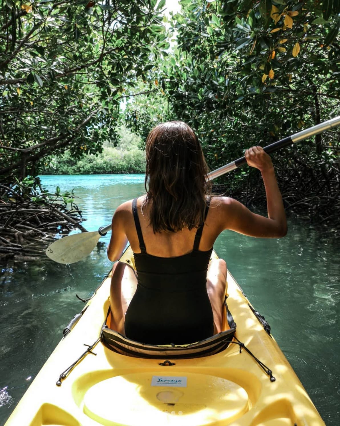 Visite de l’Île d’Ambre en kayak