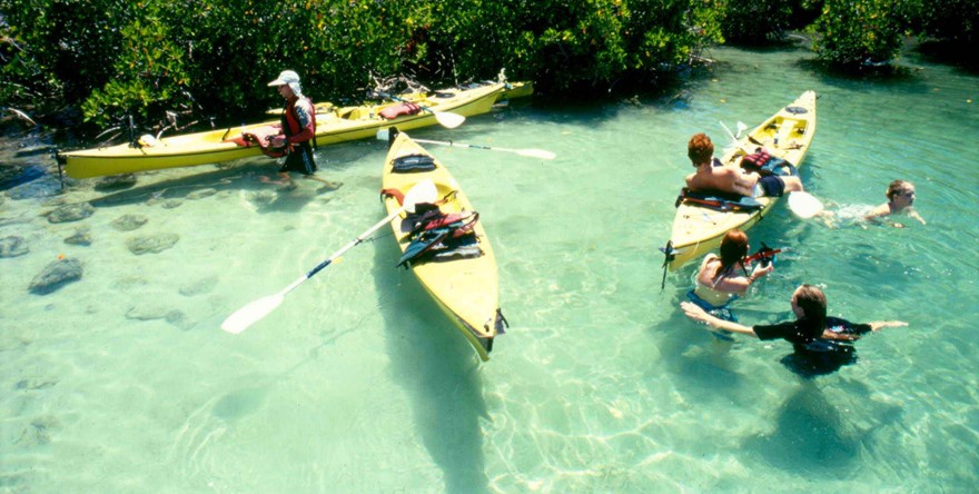 Visit To Ambre Island By Kayak